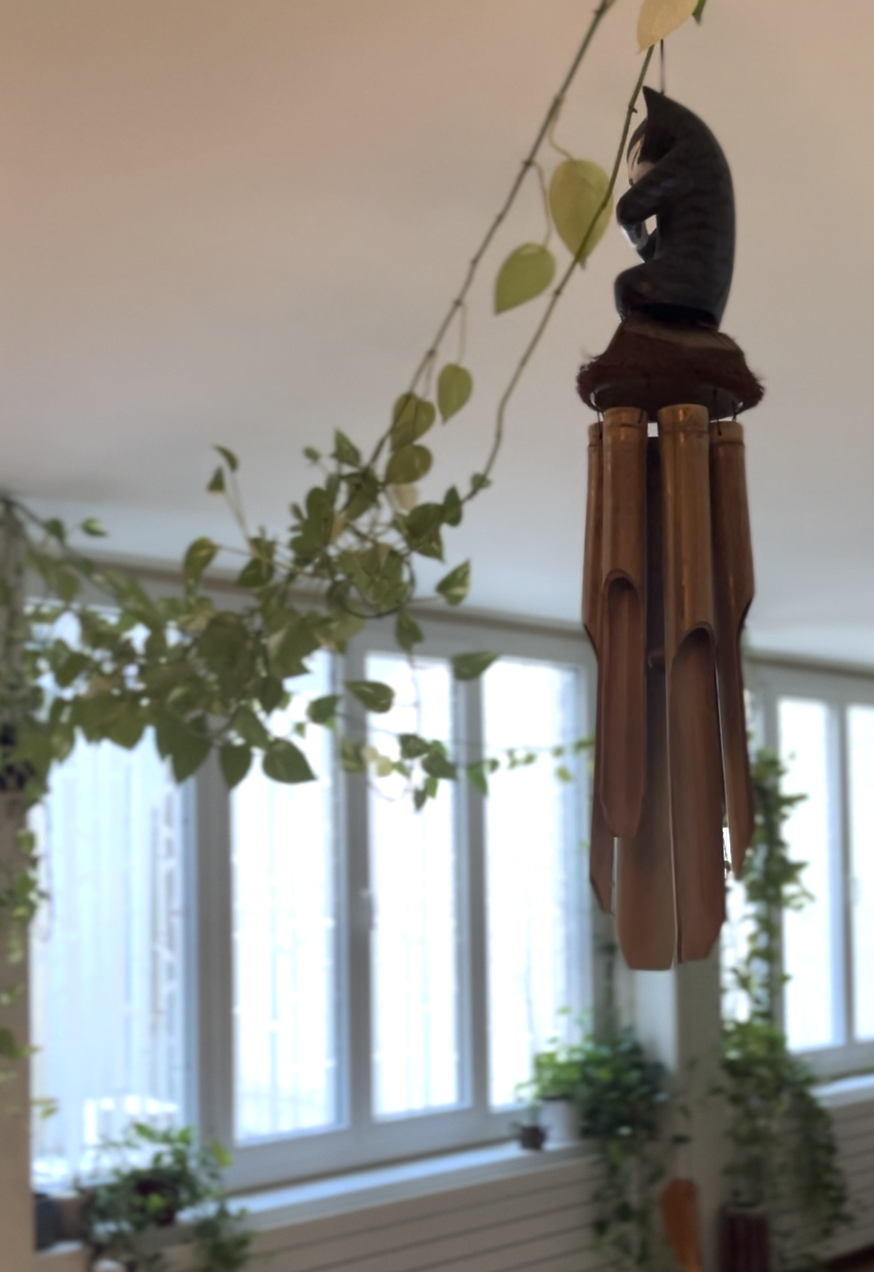 yoga studio