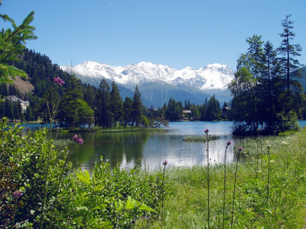 yoga-retreats-switzerland-yoga-flame